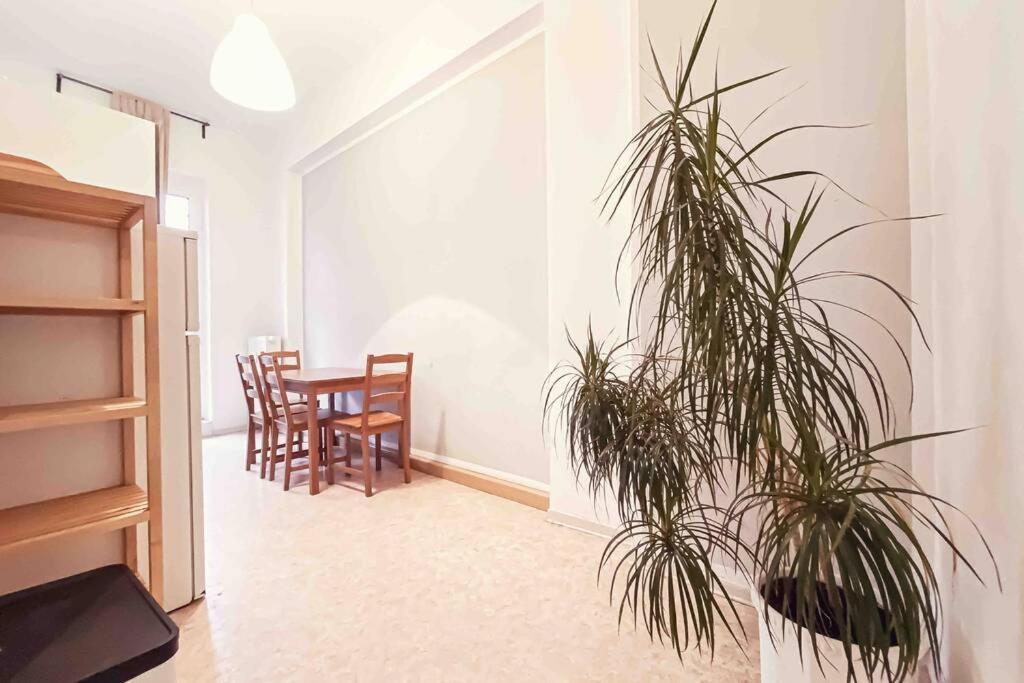 Altbau-schmuckstueck An Der Karli Mit Riesigem Balkon Apartment